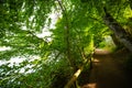 Circular route on WeÃÅ¸linger lake, summer time